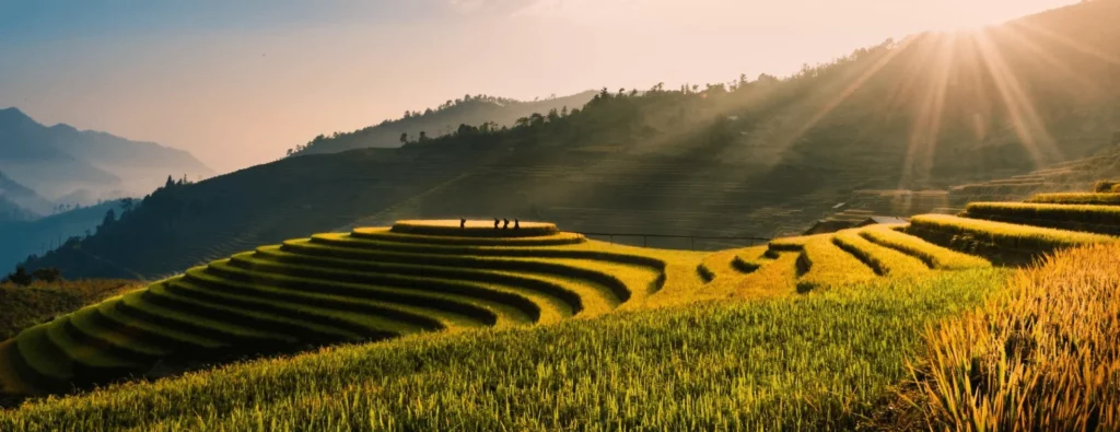 5 plus bellesrizières en terrasses du Vietnam