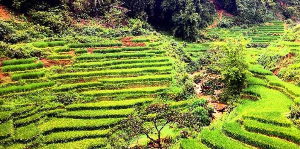 Giang-Ta-Chai-Village-voyages au vietnam