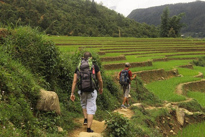 Randonnée dans les rizières en terrasses à Sapa, Vietnam