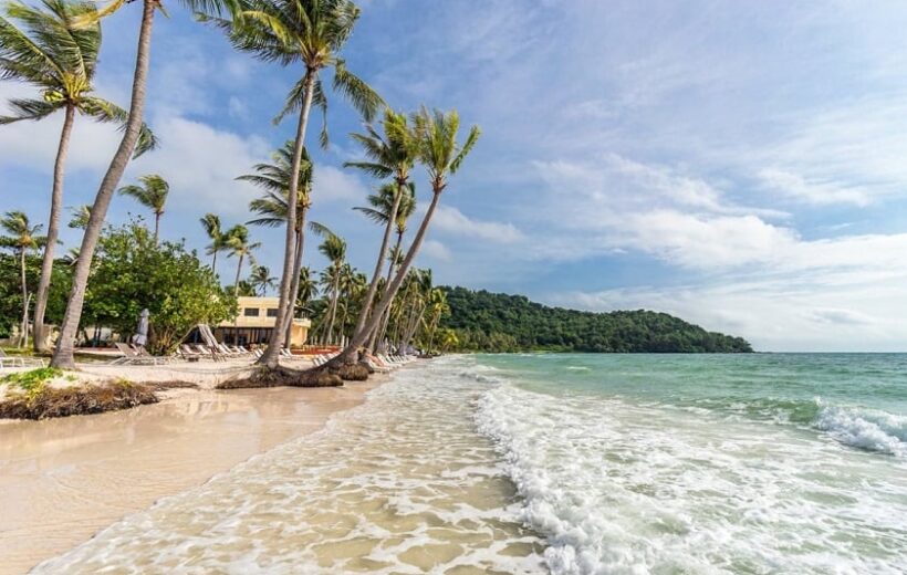 plage au vietnam avec les cocotiers
