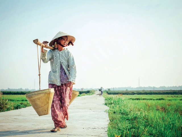 femme marchant dans les rizières vietnamiennes