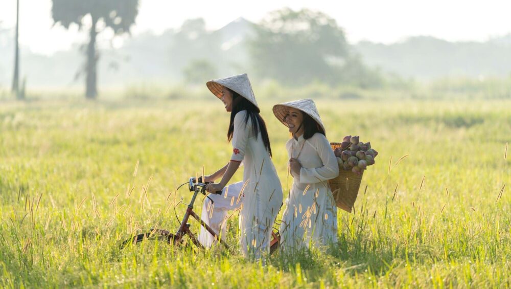 femems au vietnam-ao-dai dans les rizieres